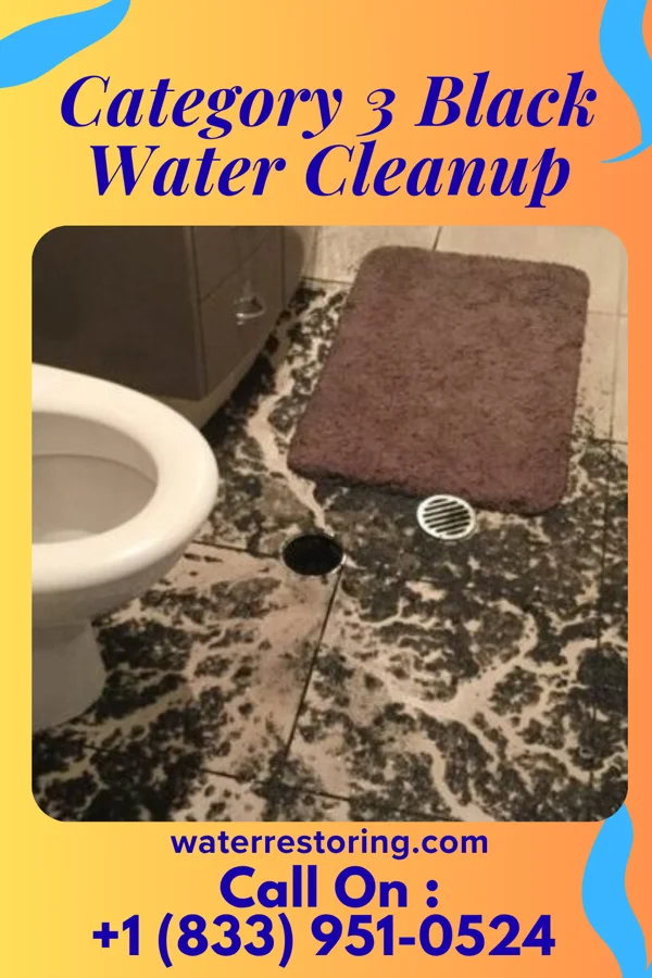 Category 3 Black Water Cleanup in Panguitch, UT