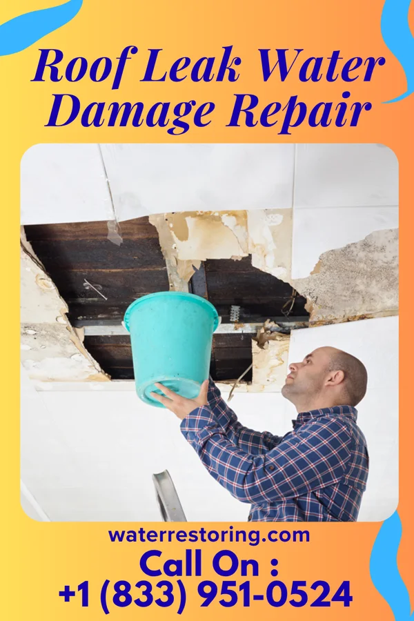 Roof Leak Water Damage Repair in Panguitch, UT